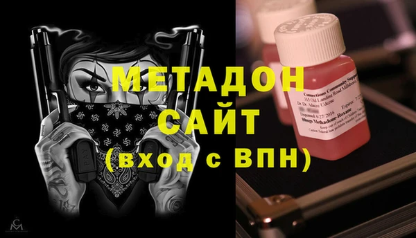прущие грибы Вязьма