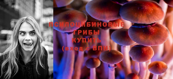 ПСИЛОЦИБИНОВЫЕ ГРИБЫ Вязники