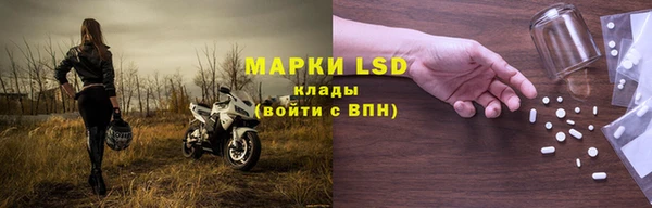прущие грибы Вязьма