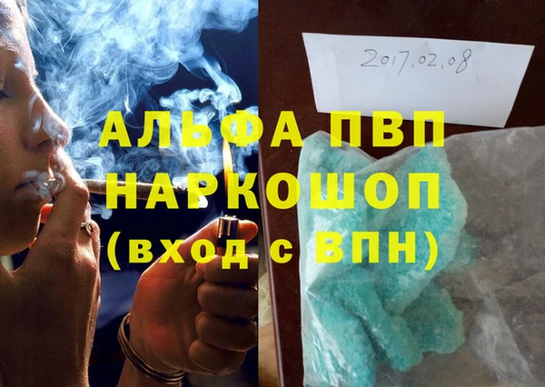 прущие грибы Вязьма