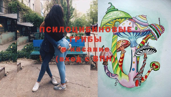 ALPHA-PVP Вяземский