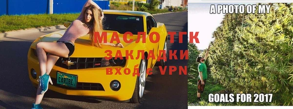 прущие грибы Вязьма