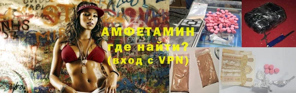 ПСИЛОЦИБИНОВЫЕ ГРИБЫ Вязники