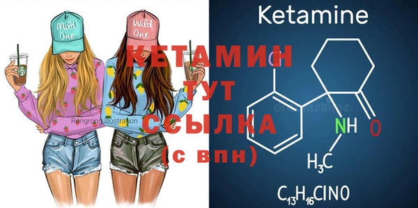 прущие грибы Вязьма