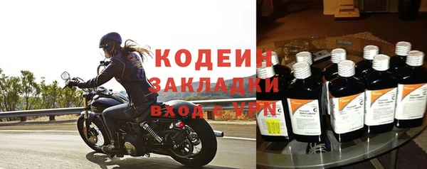 прущие грибы Вязьма
