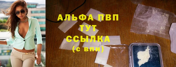 ПСИЛОЦИБИНОВЫЕ ГРИБЫ Вязники